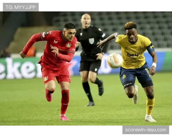 维尔茨状态稳定性如何评估:数据与表现背后的真实价值 维尔茨状态稳定性如何评估:数据与表现背后的真实价值